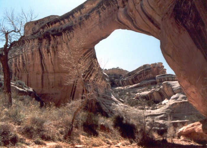 ../Images/122.Natural Bridges Nat.Monument.jpg